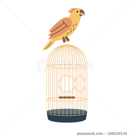 Bird cage. Animals accessories, pet toy supplies. Vector illustration. Bird cage. Animals accessories, pet toy supplies. Vector illustration. 106020538