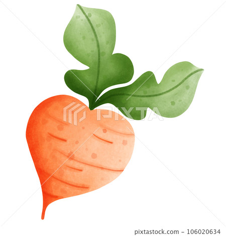 Carrot Carrot 106020634