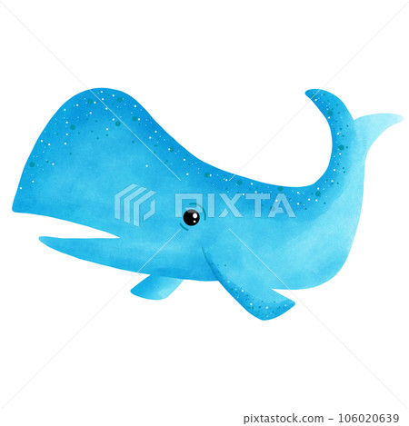Whale Whale 106020639