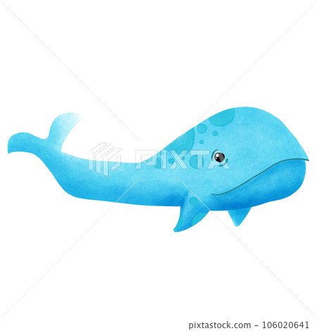 Whale Whale 106020641