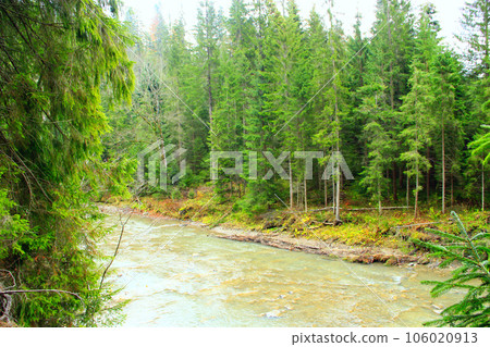 mountainous river in the forest of Carpathian mountains mountainous river in the forest of Carpathian mountains 106020913