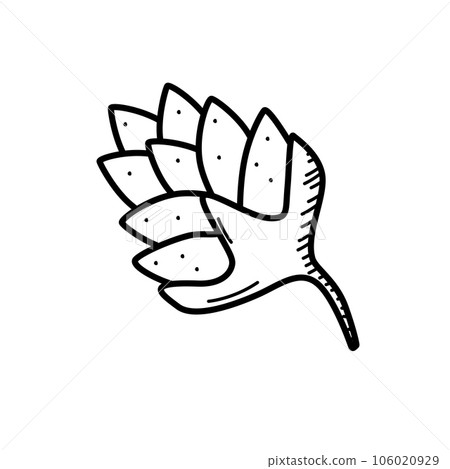Hop plant icon doodle cartoon. Vector illustration of a hop fruit sketch isolated on white. Hop plant icon doodle cartoon. Vector illustration of a hop fruit sketch isolated on white. 106020929