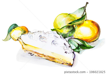 watercolor illustration of slice slice of orange or apricot pie, piece of cake with fruits, isolated on white background watercolor illustration of slice slice of orange or apricot pie, piece of cake with fruits, isolated on white background 106021825
