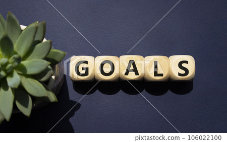 Goals symbol. Concept word Goals on wooden cubes. Beautiful deep blue background with succulent plant. Business and Goals concept. Copy space. 106022100