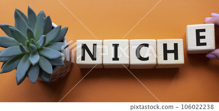 Niche symbol. Concept word Niche on wooden cubes. Businessman hand. Beautiful orange background with succulent plant. Business and Niche concept. Copy space. Niche symbol. Concept word Niche on wooden cubes. Businessman hand. Beautiful orange background with succulent plant. Business and Niche concept. Copy space. 106022238