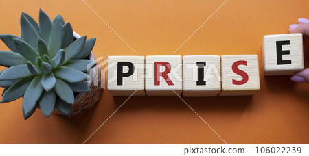 Prise symbol. Wooden cubes with word Prise. Businessman hand. Beautiful orange background with succulent plant. Businessman abd Prise concept. Copy space. 106022239