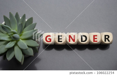 Gender symbol. Concept word Gender on wooden cubes. Beautiful grey background with succulent plant. Business and Gender concept. Copy space. Gender symbol. Concept word Gender on wooden cubes. Beautiful grey background with succulent plant. Business and Gender concept. Copy space. 106022254