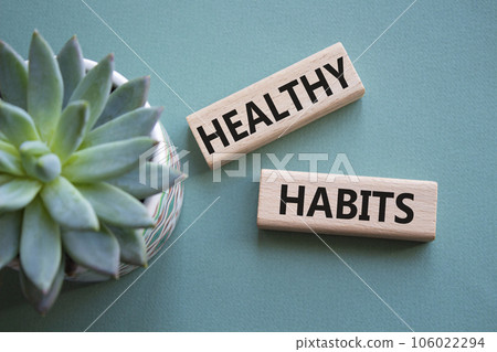 Healthy habits symbol. Concept word Healthy habits on wooden blocks with succulent plant. Beautiful grey green background. Business and Healthy habits concept. Copy space Healthy habits symbol. Concept word Healthy habits on wooden blocks with succulent plant. Beautiful grey green background. Business and Healthy habits concept. Copy space 106022294