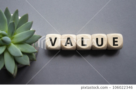 Value symbol. Concept word value on wooden cubes. Beautiful grey background with succulent plant. Business and value concept. Copy space. 106022346