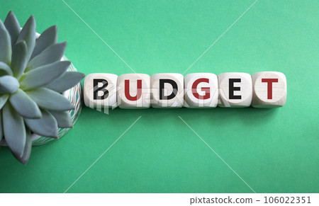 Budget symbol. Concept word Budget on wooden cubes. Beautiful green background with succulent plant. Business and Budget concept. Copy space. 106022351