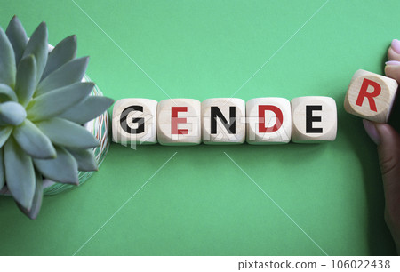 Gender symbol. Concept word Gender on wooden cubes. Businessman hand. Beautiful green background with succulent plant. Business and Gender concept. Copy space. Gender symbol. Concept word Gender on wooden cubes. Businessman hand. Beautiful green background with succulent plant. Business and Gender concept. Copy space. 106022438