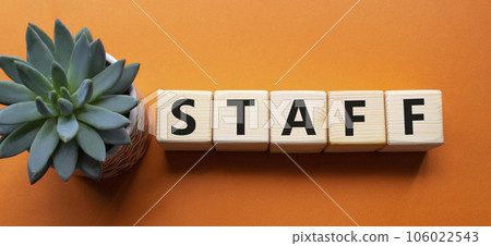 Staff symbol. Concept word Staff on wooden cubes. Beautiful orange background with succulent plant. Business and Staff concept. Copy space. 106022543