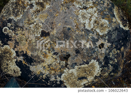 Old gray stone with ancient lichen, natural texture, organic backdrop Old gray stone with ancient lichen, natural texture, organic backdrop 106022643