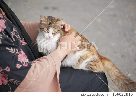 Female hugging her cat. people in live with cat . 106022910