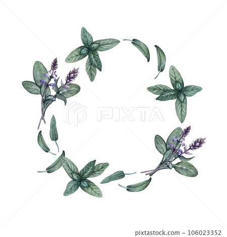 Wreath of leaves and branches of sage. High quality watercolor illustration Wreath of leaves and branches of sage. High quality watercolor illustration 106023352