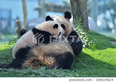 Yuuhama receiving breasts from Yoshihama Mama Yuuhama receiving breasts from Yoshihama Mama 106024624