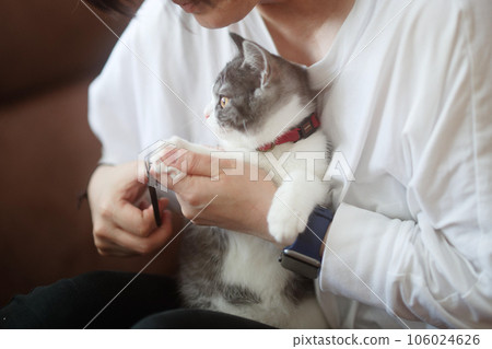 cat clipping nails 106024626