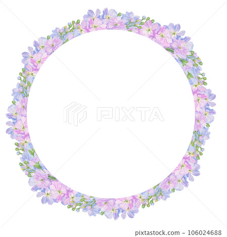 Watercolor botanical colourful frame of preety garden flowers: blue and lilac gillyflower and pink lathyrus. Good for wedding print products, paper, invitations, greetings, fabric, posters 106024688