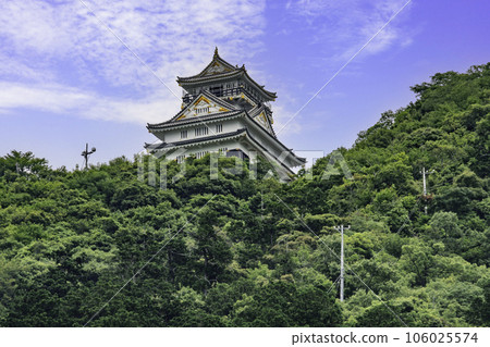 Gifu Park, Gifu Castle Tower, Gifu City, Gifu Prefecture 106025574