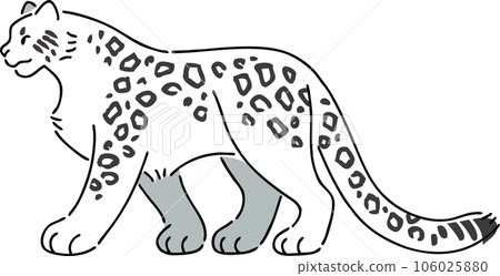 hand drawn illustration of snow leopard 106025880