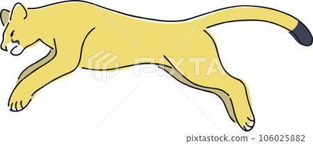 hand drawn puma illustration hand drawn puma illustration 106025882