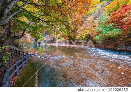 Yuze Valley (Autumn) Yuze Valley (Autumn) 106026385