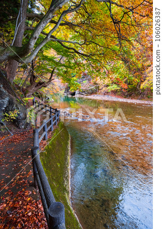 Yuze Valley (Autumn) Yuze Valley (Autumn) 106026387