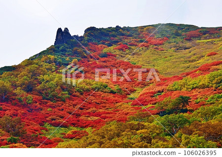 Scenery of autumn leaves of Mt. Kurodake, Daisetsuzan, Hokkaido 106026395