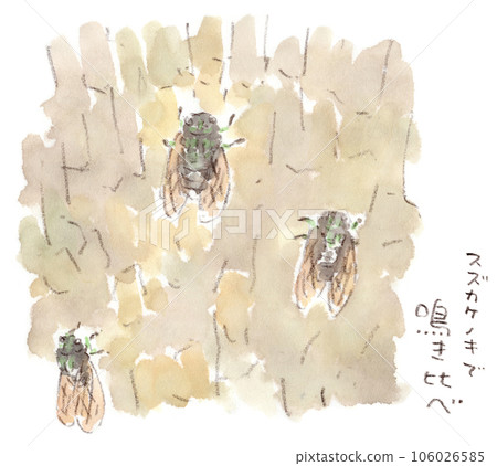 Summer landscape, watercolor illustration of minmin cicada singing Summer landscape, watercolor illustration of minmin cicada singing 106026585
