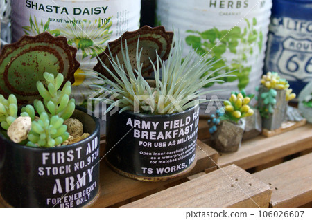 垃圾園 垃圾園 106026607