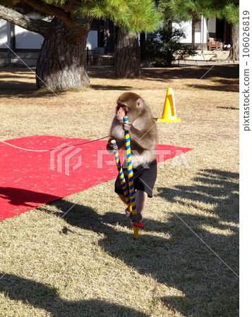 猴肉捲 猴肉捲 106026819