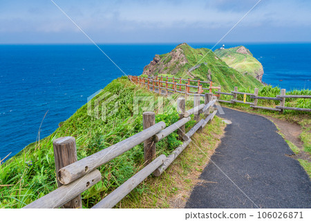 (Hokkaido) Cape Kamui Road leading to the cape 106026871