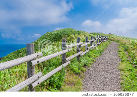 (Hokkaido) Cape Kamui Road leading to the cape (Hokkaido) Cape Kamui Road leading to the cape 106026877