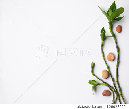 Background Spa concept,Flat lay Green Leaves with Pebble on White Table Background with Free space,Growth Plant Tree Aroma Therapy Massage Spa Set Backdrop. 106027321