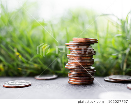 Stack Coin Closeup on Green Nature,Bank Currency Thai. Plan Income Investment Growth Cash and Saving for 2023 New Year,for Salary,Rate,Stock Market,Credit,Loan,Business or Treasury Finance concept. 106027767
