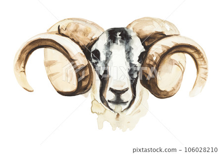 Watercolor illustration of a ram isolated on white 106028210