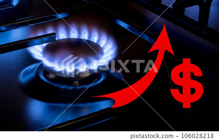 Gas burner on black modern kitchen stove with dollar sign Gas burner on black modern kitchen stove with dollar sign 106028218