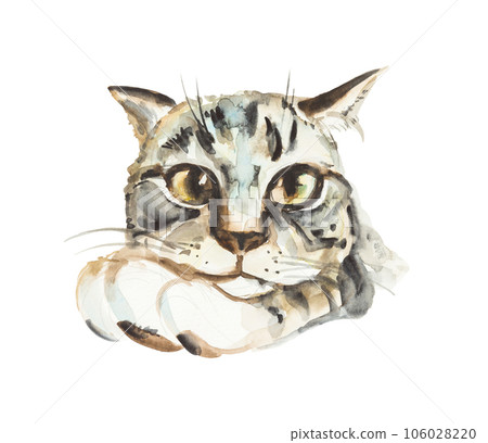 Portrait of cute cat isolated on white... - Stock Illustration ...