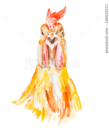 Rooster watercolor illustration isolated on a white background 106028221