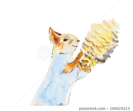 Squirrel with pinecone isolated on a white background, watercolor Squirrel with pinecone isolated on a white background, watercolor 106028223