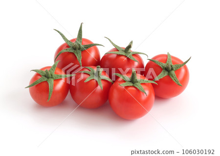 Midi番茄 Midi番茄 106030192