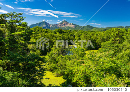 《Fukushima Prefecture》Urabandai in summer, Nakasenuma with lush greenery 《Fukushima Prefecture》Urabandai in summer, Nakasenuma with lush greenery 106030340