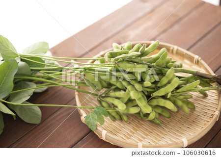 Delicious summer edamame Delicious summer edamame 106030616