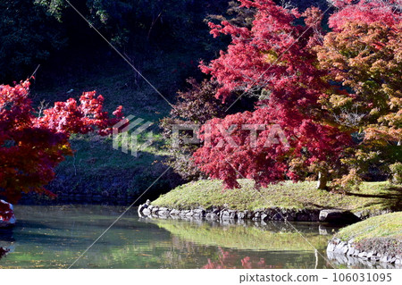 Autumn Autumn Leaves Okayama Kinsuien Autumn Autumn Leaves Okayama Kinsuien 106031095