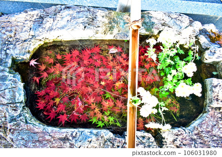 岡山倉敷阿智神社 秋葉 106031980