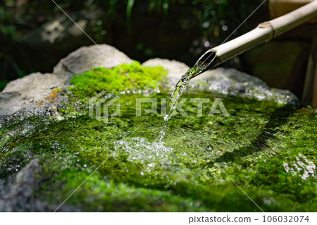 Deer power of Tonogayato garden 106032074