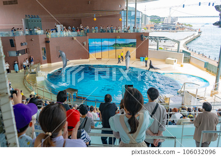 Shimonoseki Municipal Aquarium Kaikyokan Dolphin Show 106032096