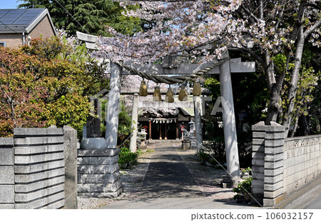 Kawaguchi walk: Kamiaoki Hikawa Shrine Kawaguchi City Kamiaoki Kawaguchi walk: Kamiaoki Hikawa Shrine Kawaguchi City Kamiaoki 106032157