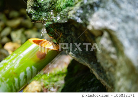 花園裡的鹿的力量 花園裡的鹿的力量 106032171