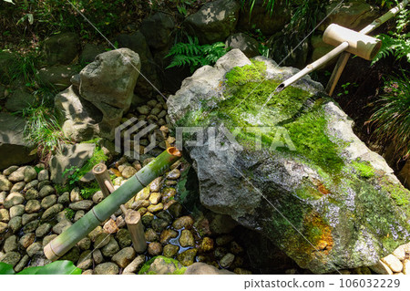 殿谷戶花園的鹿力 殿谷戶花園的鹿力 106032229